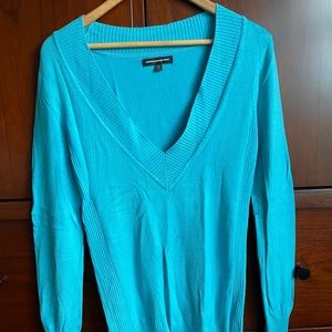 Express v-neck sweater